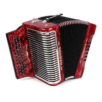 美品　美音　ホーナー社製　コロナⅡ 　ダイアトニックアコーディオンラスト1台 美品 美音 ホーナー社製 コロナⅡ ダイアトニックアコーディオン